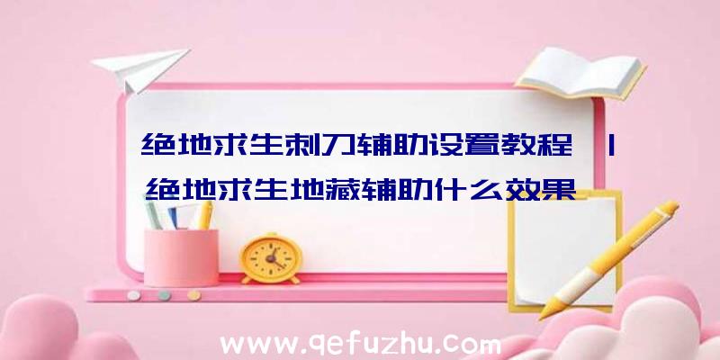 「绝地求生刺刀辅助设置教程」|绝地求生地藏辅助什么效果